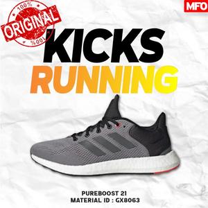 pureboost 21