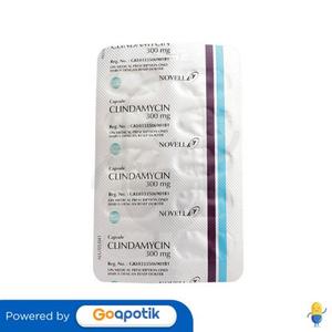 Gambar CLINDAMYCIN NOVELL 300 MG STRIP 10 KAPSUL dari Apotek Sehat Abadi Kota Semarang Tokopedia