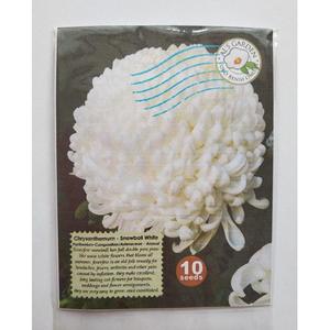 Jual NEW Benih Biji Bunga Chrysanthemum Snowball White Pack - Als ...