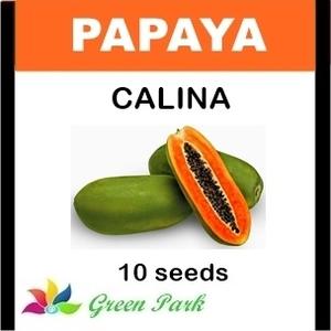 Jual WOW Benih Biji Papaya Pepaya Cali Pack - GP - Kota Surabaya ...