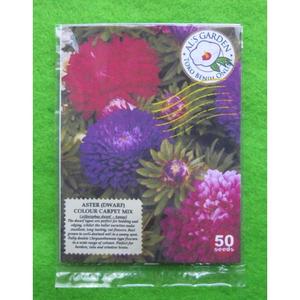 Jual SALE Benih Biji Bunga Aster Dwarf Colour Carpet Pack - Als ...