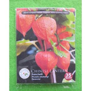 Jual SALE Benih Biji Bunga Ciplukan Chinese Lantern Franchetti ...