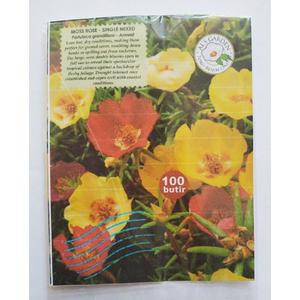 Jual SALE Benih Biji Bunga Portulaca Moss Rose Single Mixed Pack ...