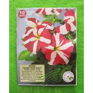 Jual WOW Benih Biji Bunga Petunia Celebrity Rose Star F1 Pack ...
