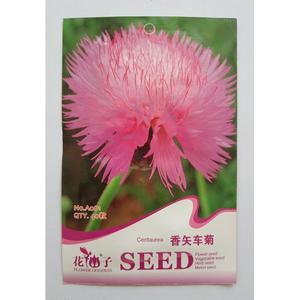 Jual PROMO Benih Biji Bunga Centaurea Pack - Flower Goddess - Kota ...