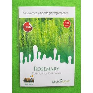 Jual NEW Benih Biji Rosemary Pack - Maica Leaf - Kota Surabaya ...
