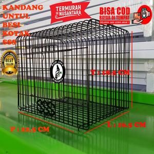 Jual Sangkar Kandang Kecil Untul Sss Elite Song Untulan Bahan Besi