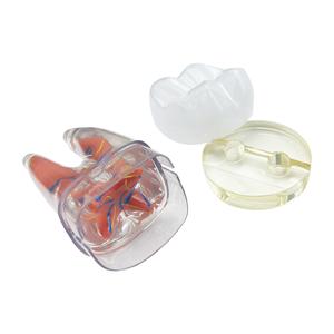 Jual 10 Times Dental Teeth Model Endodontic Root Canal Block Teeth Pulp ...