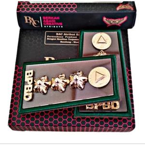 Jual PANGKAT PDH BPBD GOLONGAN 4B EXLUSIVE ORIGINAL BAC ATRIBUT ...