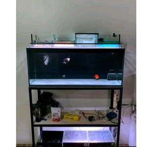 Jual [TOP] rak aqrium P121cm L50cm T121cm 3 susun besi menunakan 4x4 ...