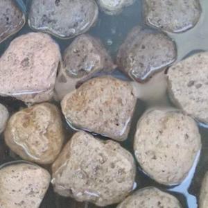 Jual Media Filter Batu Apung Pumice Stone 1 Karung 20Kg Kolam Ikan Koi ...