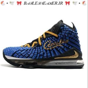 Jual Sepatu Nike Lebron James 17 Crenshaw BNIB Kota Administrasi