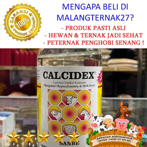 Jual calcidex 500ml larutan injeksi infus kalsium untuk sapi perah ...