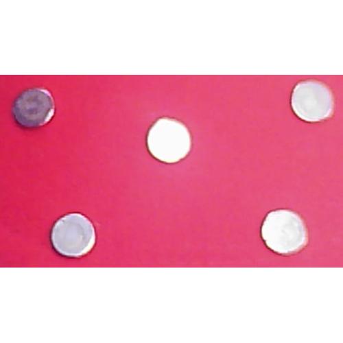 Foto Produk MAGNET 10MM & 12MM dari Cv Duatigaputra