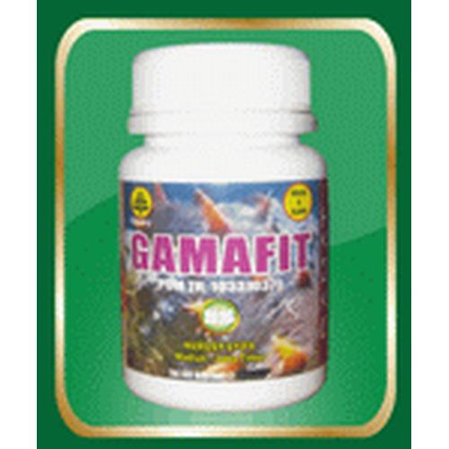 Foto Produk GAMAFIT dari Herbal Online Shop