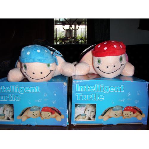 Foto Produk Twilight Turtle Versi 3 dari Justin D'Shop