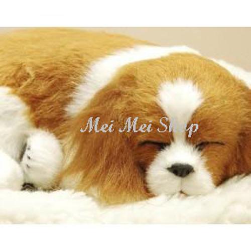 Foto Produk boneka petz lucu dari Royal Shop