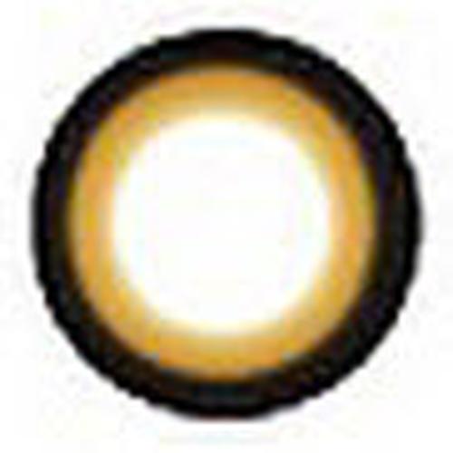 Foto Produk GEO Sakura Brown (WI-A24) dari Cutie Eye