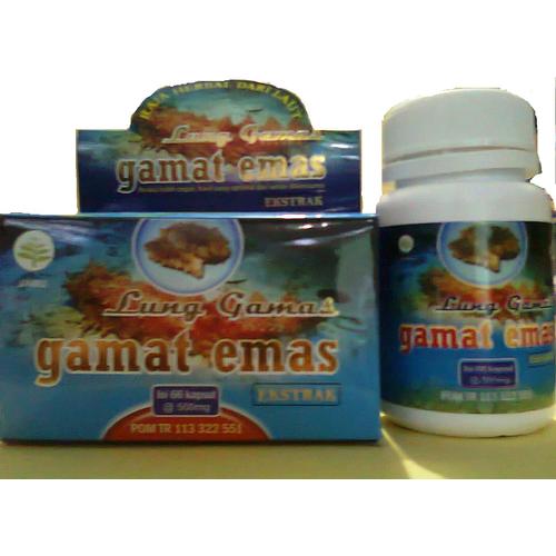Foto Produk Lung Ekstra Gamat ( GAMAT EMAS ) dari Jakarta Herbal Center