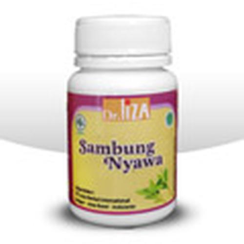 Foto Produk Sambung Nyawa dari Javani Herbal