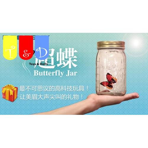 Foto Produk Electronic Butterfly Jar dari Toys And Dolls