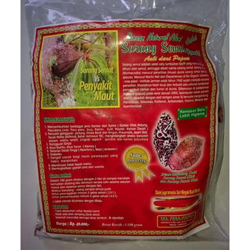 Foto Produk SARANG SEMUT (Myrmecodia) dari Herbal Online Shop