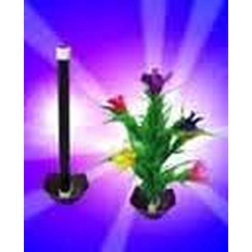 Foto Produk WAND TO ROSE dari MeylanMagicShop
