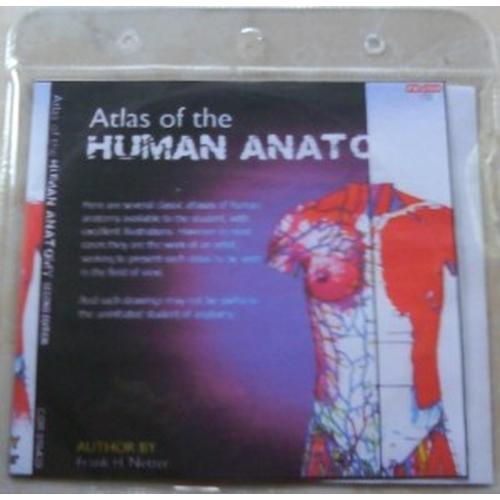 Gambar Paket DVD Anatomi dari Bambangtko Jakarta Pusat Tokopedia