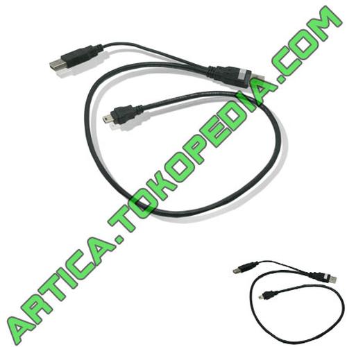Foto Produk Kabel USB2.0 5 pin to 2 USB Male dari Artica Computer