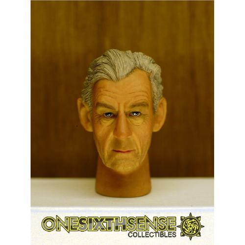 Gambar Headplay 1/6 Ian McKellen Alike Custom Head Sculpt dari Chasadya Hobby Shop undefined Tokopedia