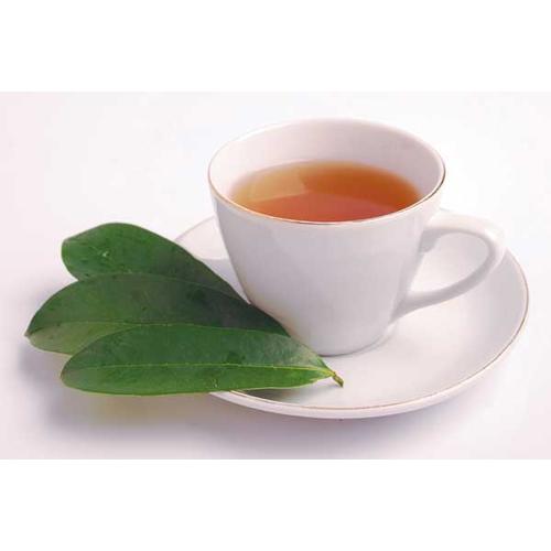 Foto Produk DAUN SIRSAK, MEMBUNUH SEL KANKER 10.000x Lebih Cepat Dari KEMOTERAPI dari Rumah Rempah Manisha