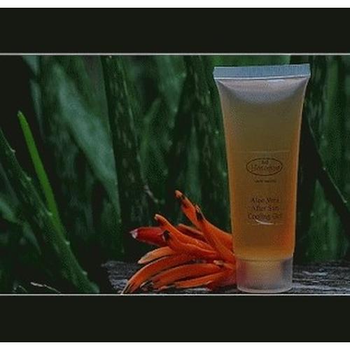 Gambar AFTER SUN COOLING GEL dari THE BALI SPA Kota Denpasar Tokopedia