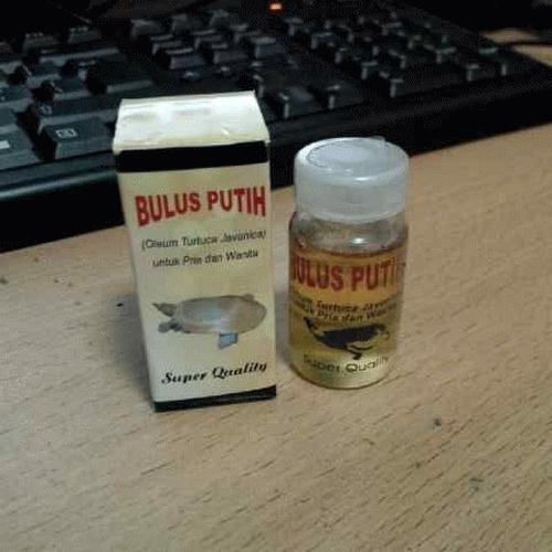 Foto Produk Minyak bulus Putih dari Beauty Kosmetik Store
