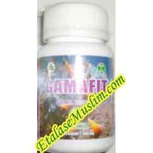 Foto Produk Gamafit 60 Kapsul (Gamat 100%) dari EtalaseMuslim.com