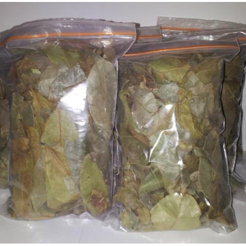 Jual Daun Sirsak Obat Kanker Kelenjar Getah Bening Tiroid Miom Tenggorokan Kab Sleman Lennvi Aneka Herbal 