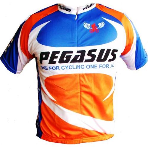 Jual JERSEY SEPEDA PEGASUS - Kota Depok 