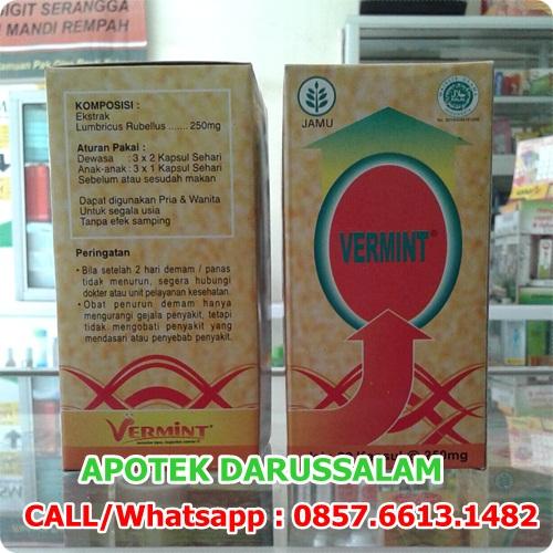 Foto Produk Vermint Kapsul Cacing 30 Kapsul dari DARUSSALAM-Online