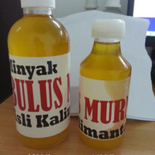 Gambar Minyak Bulus Asli Kalimantan - 140 ML - ORIGINAL dari Herbis undefined Tokopedia
