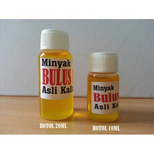 Foto Produk Minyak Bulus Asli Kalimantan - 20ml - ORIGINAL dari Herbis