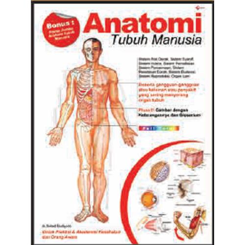 Jual Anatomi Tubuh Manusia Kota Medan Ebookshop4u Tokopedia