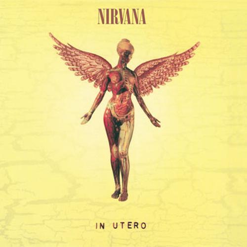 Foto Produk Nirvana dari Sevennia