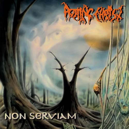 Foto Produk Rotting Christ dari Sevennia