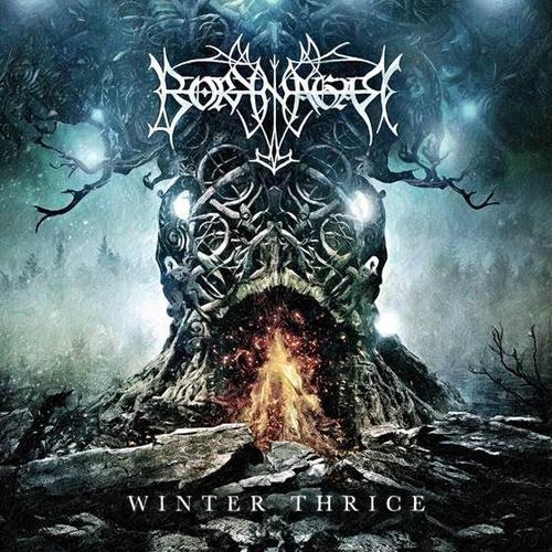Foto Produk Borknagar dari Sevennia