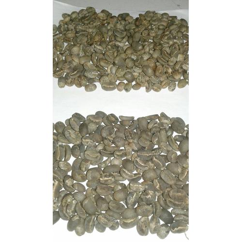 Foto Produk kopi luwak green bean arabica gayo dari Hambali Shop