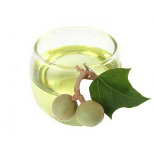 Foto Produk Minyak Kemiri / Kukui Nut Oil (250ml) dari Cipta Kimia