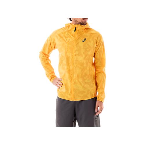 fuji trail asics