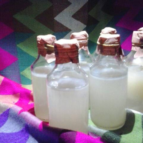 Gambar Nata Starter Organic dari bioshop Jakarta Barat Tokopedia