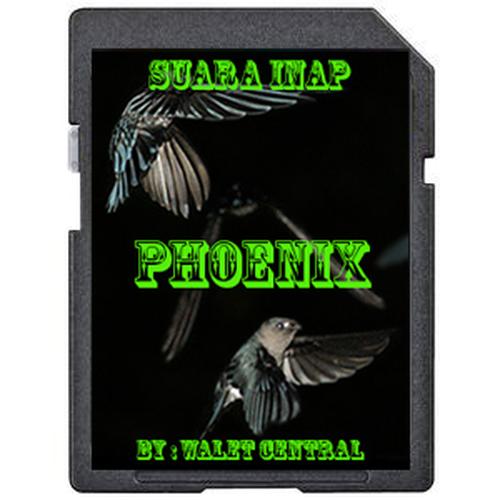 Gambar Suara Walet Inap Phoenix dari Walet Central Kota Tangerang Tokopedia