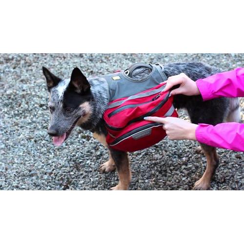 palisades dog pack