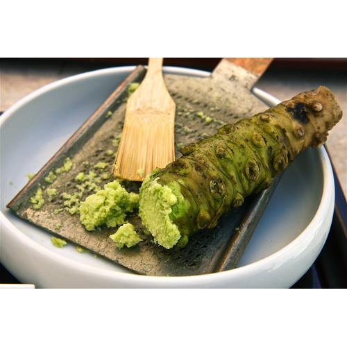 Jual FRESH grated REAL WASABI 15gr FROZEN Wasabi Asli Sushi Sashimi